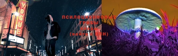 2c-b Верея